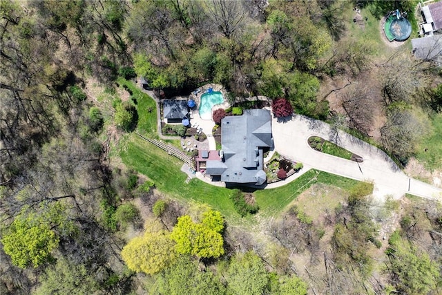 drone / aerial view