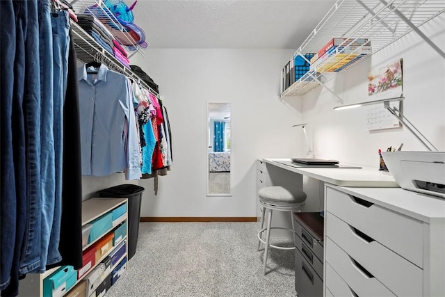 walk in closet featuring light carpet