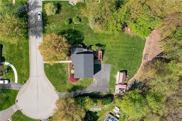 drone / aerial view