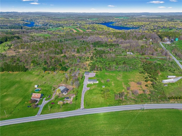 birds eye view of property with a water view and a forest view