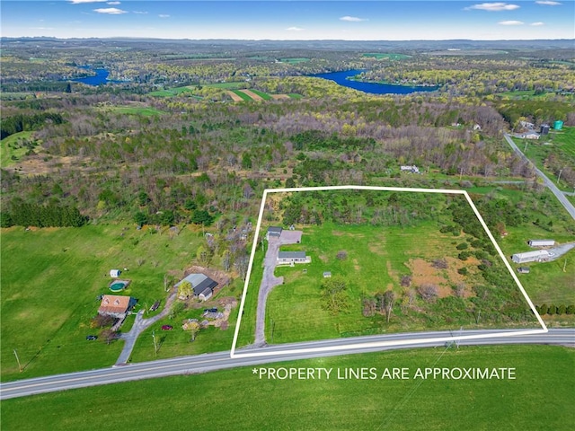 birds eye view of property with a water view and a forest view