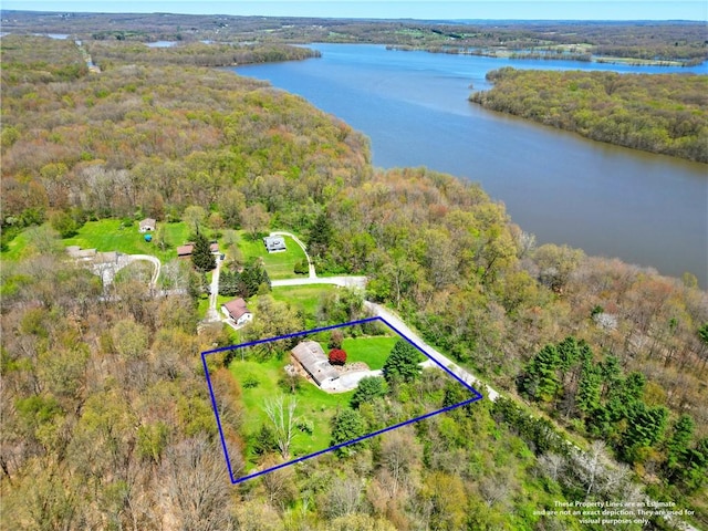 birds eye view of property featuring a water view and a forest view