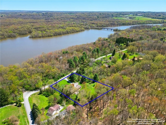 drone / aerial view with a water view and a view of trees