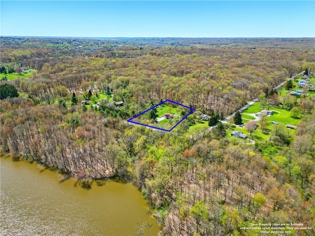 bird's eye view featuring a view of trees and a water view