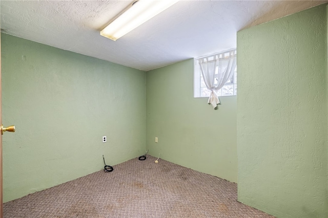 interior space with carpet