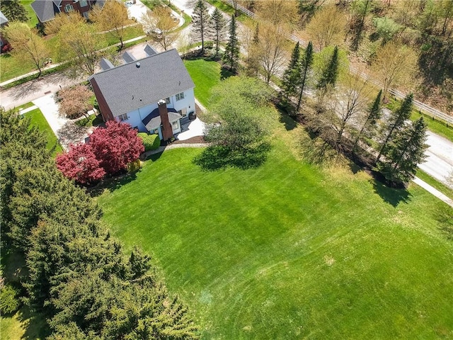bird's eye view