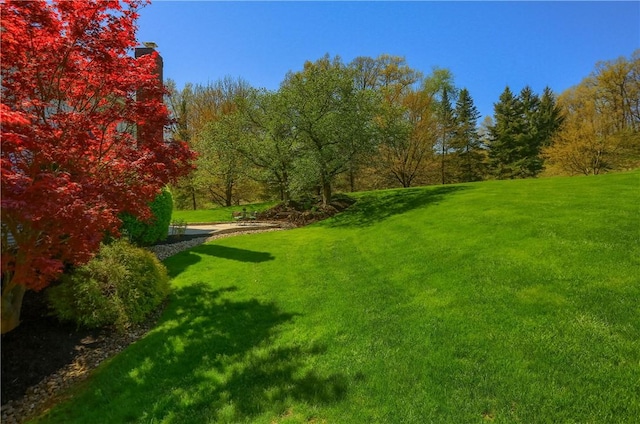 view of home's community featuring a lawn
