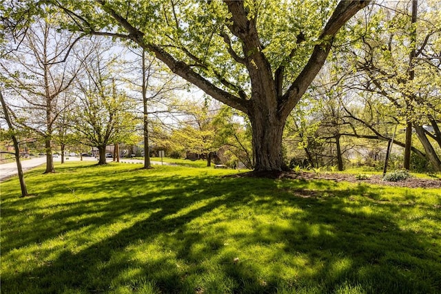 2425 Park Ave, South Franklin, PA 15301 - view of yard