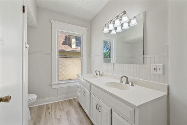 bathroom featuring wood finished floors, a sink, a wainscoted wall, and double vanity