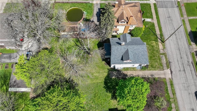 drone / aerial view