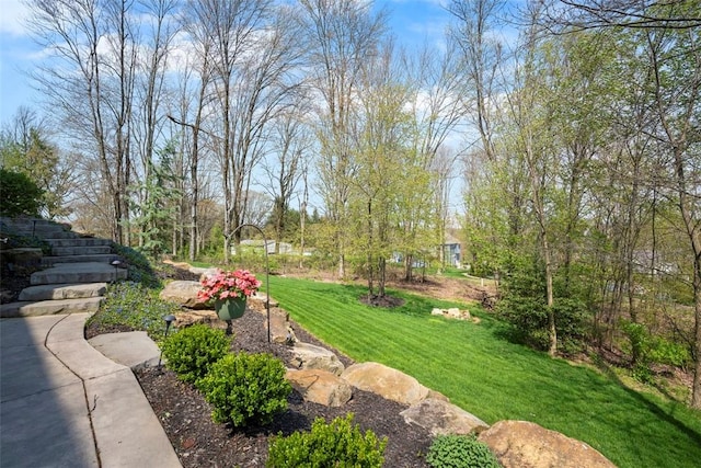 131 Woodford Dr, Adams Twp, PA 16033 - view of yard featuring stairs