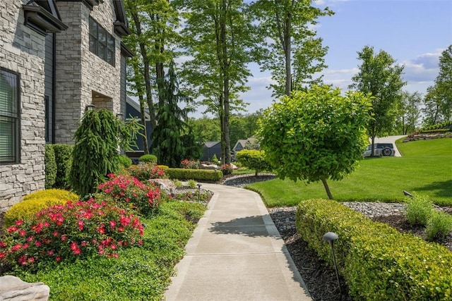 131 Woodford Dr, Adams Twp, PA 16033 - view of home's community with a lawn
