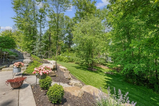 131 Woodford Dr, Adams Twp, PA 16033 - view of grassy yard with a patio area