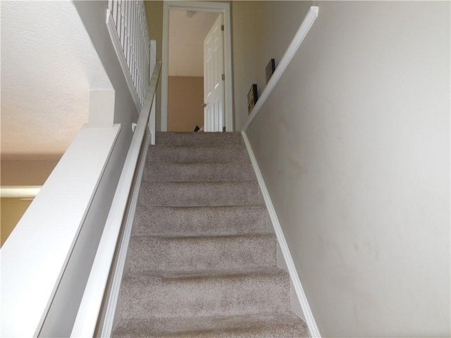 stairway with carpet