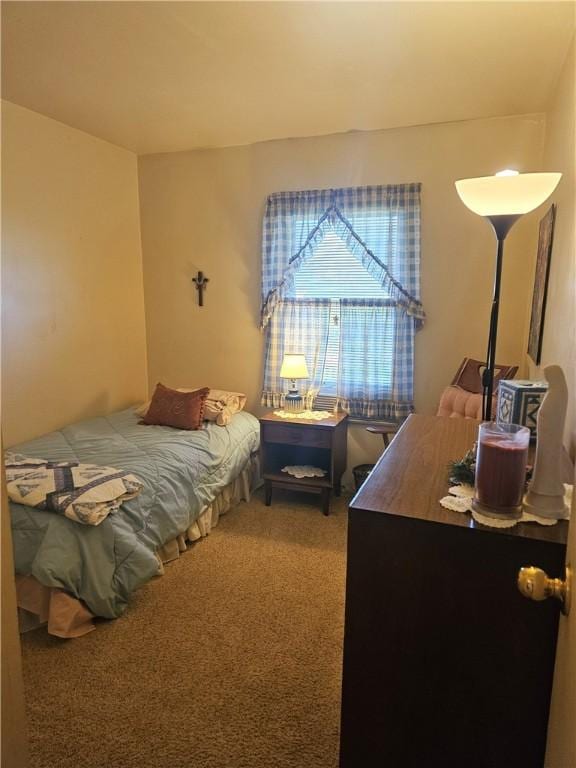 317 Chestnut Dr, Center Twp But, PA 16001 - bedroom with light colored carpet