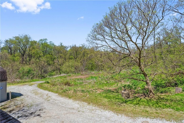 2408 Georgette St, Overbrook, PA 15234 - view of road with a forest view