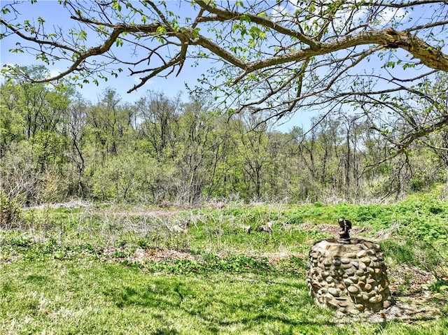 2408 Georgette St, Overbrook, PA 15234 - view of local wilderness with a forest view