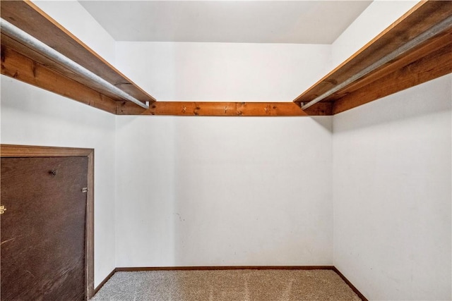 2408 Georgette St, Overbrook, PA 15234 - walk in closet with carpet