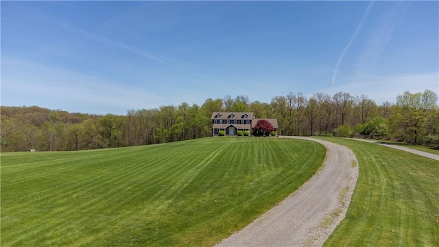 view of home's community with a yard, a view of trees, and dirt driveway