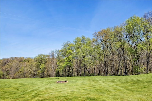 view of yard featuring a wooded view