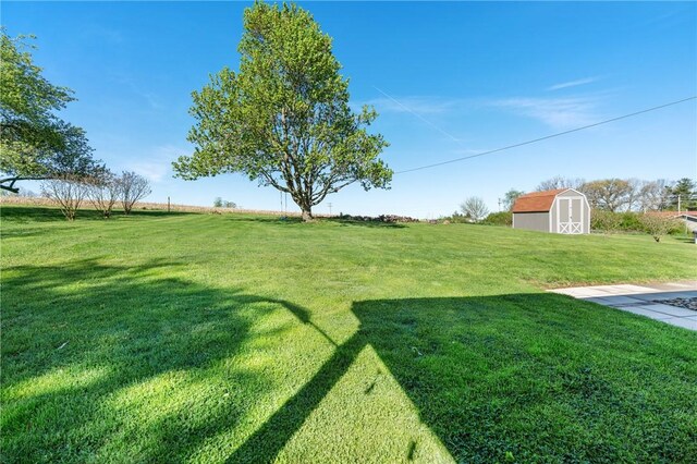 244 S Rebecca St, Saxonburg Boro, PA 16056 - view of yard featuring an outbuilding and a shed