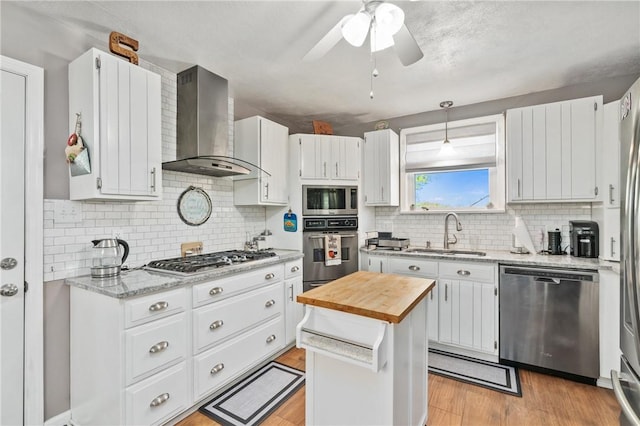 244 S Rebecca St, Saxonburg Boro, PA 16056 - kitchen featuring wall chimney range hood, ceiling fan, appliances with stainless steel finishes, a sink, and backsplash