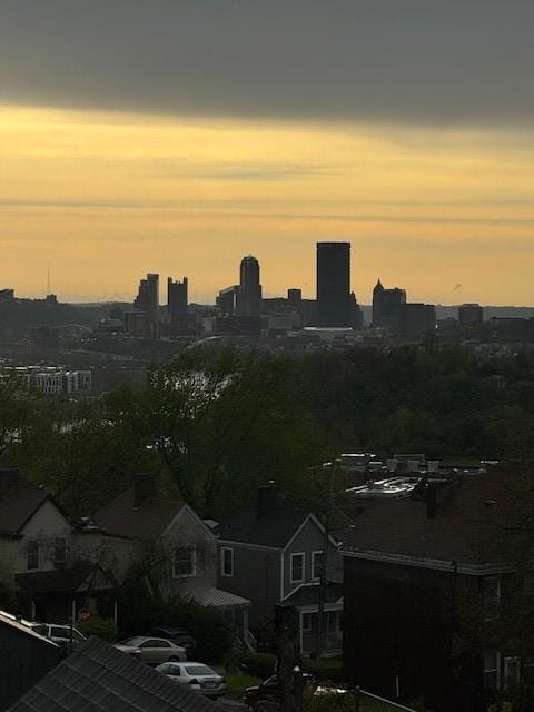 4128 Winterburn, Greenfield, PA 15207 - view of city