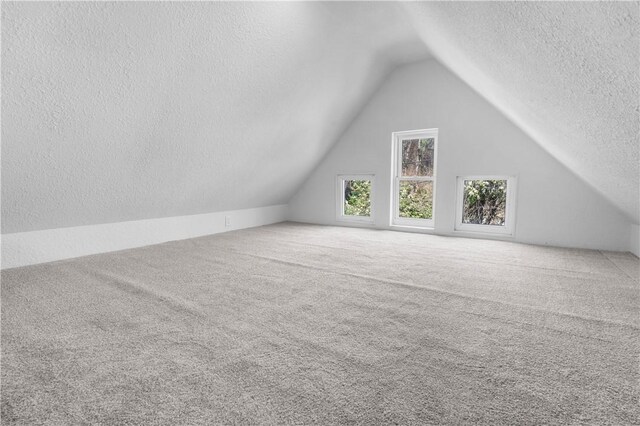 205 Berkley Ave, Forest Hills Boro, PA 15221 - additional living space featuring carpet, a textured ceiling, and vaulted ceiling