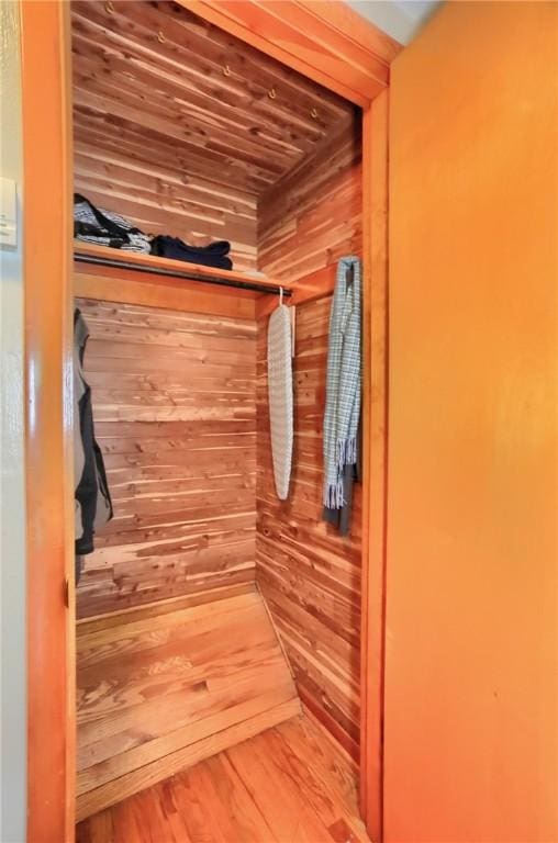 closet with a sauna