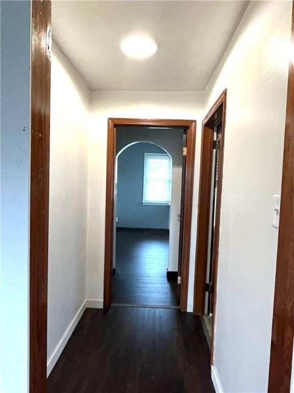 420 Church St, Harrisville Boro, PA 16038 - hall featuring baseboards, arched walkways, and dark wood-style flooring