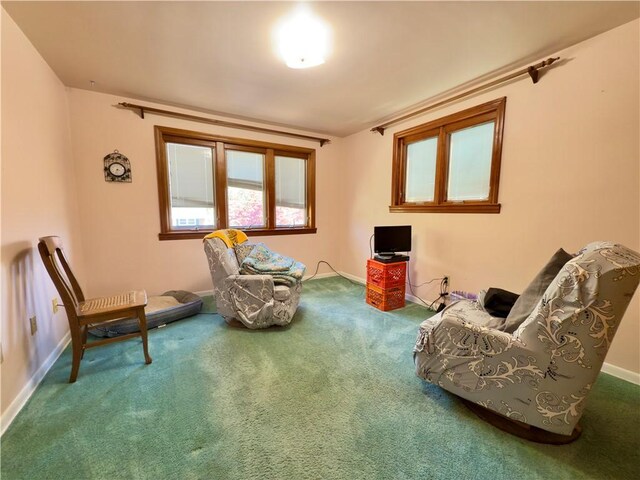 sitting room with baseboards and carpet