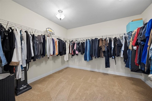 spacious closet featuring carpet flooring