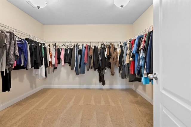 118 General Ct, Lehigh Twp, PA 16063 - spacious closet with carpet floors