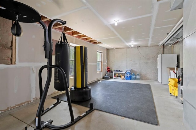 118 General Ct, Lehigh Twp, PA 16063 - view of workout room