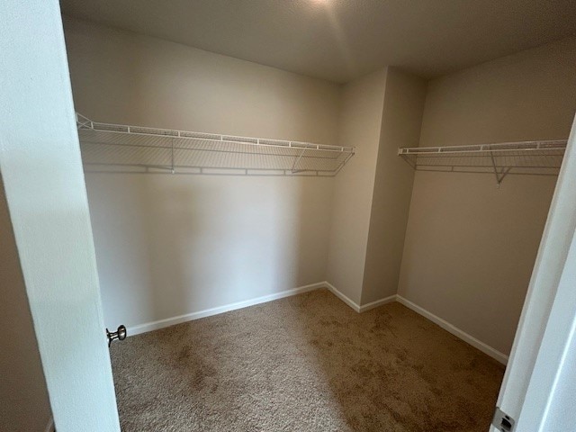 walk in closet featuring carpet
