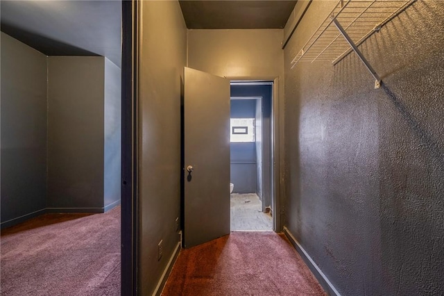 616 Evans Ave, Mckeesport, PA 15132 - hallway with carpet floors