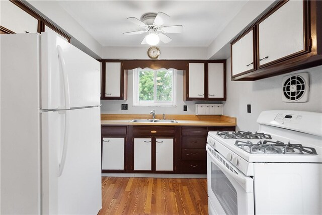 kitchen with a ceiling fan, white appliances, light wood-style floors, light countertops, and a sink