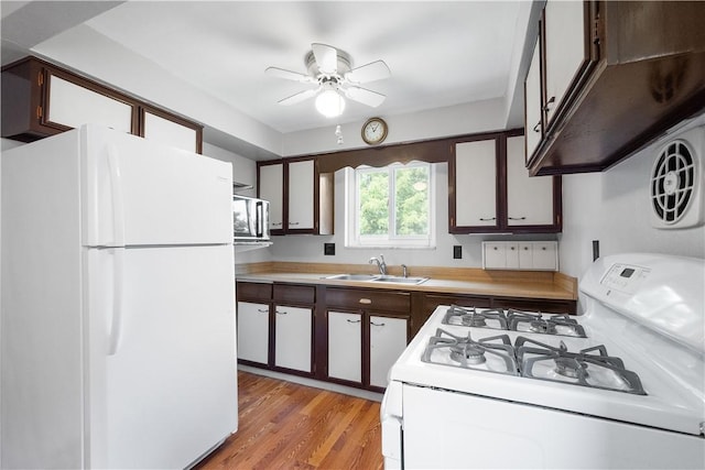 kitchen featuring a ceiling fan, white appliances, light wood-style floors, light countertops, and a sink