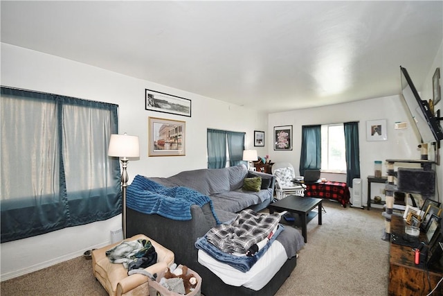 view of carpeted living area