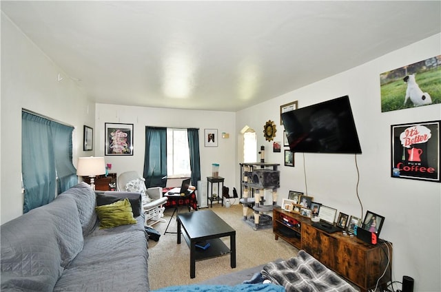 living area featuring carpet flooring
