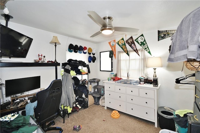 bedroom with carpet flooring