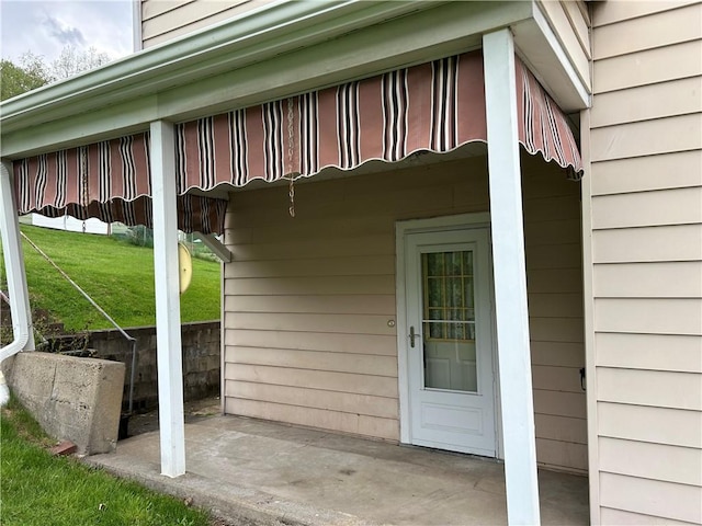 460 E Prospect Ave, City Of Washington, PA 15301 - exterior space