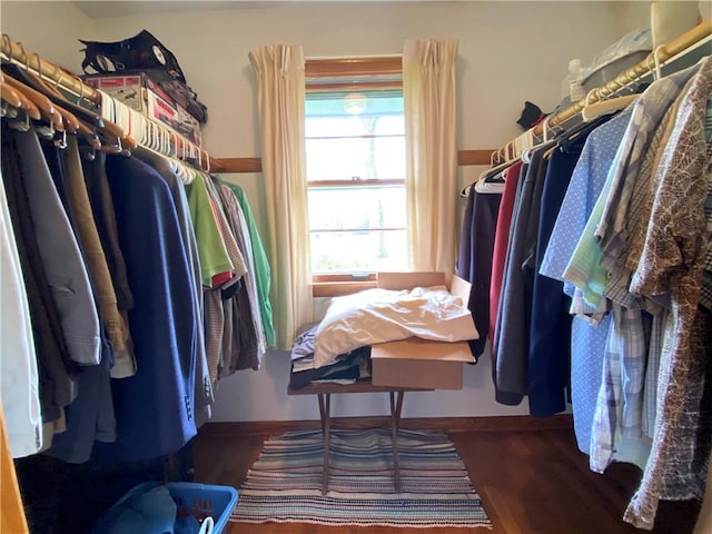 walk in closet featuring wood finished floors