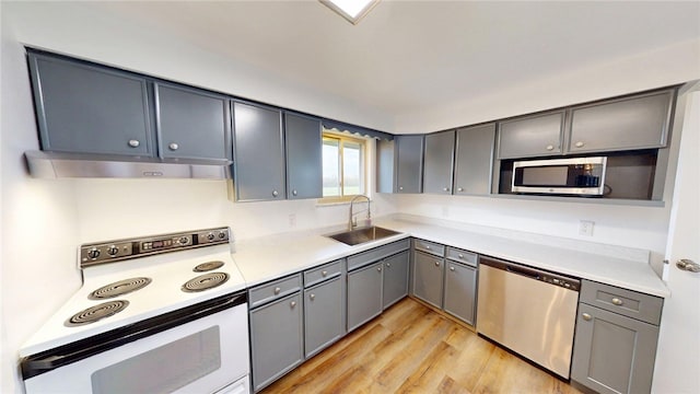 kitchen with gray cabinets, under cabinet range hood, a sink, light wood finished floors, and stainless steel appliances