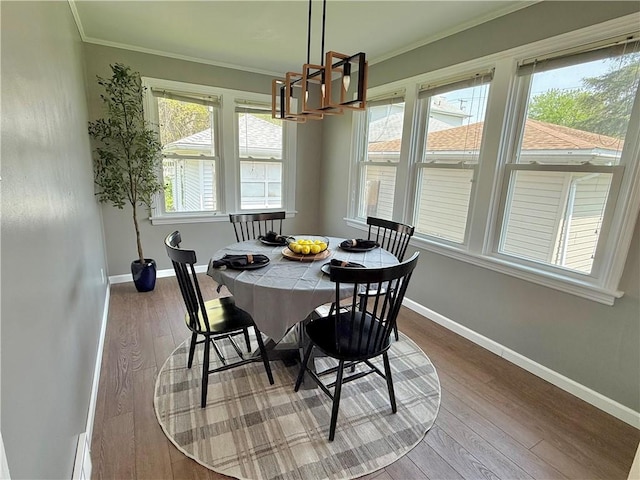 dining room with baseboards, wood finished floors, and a wealth of natural light