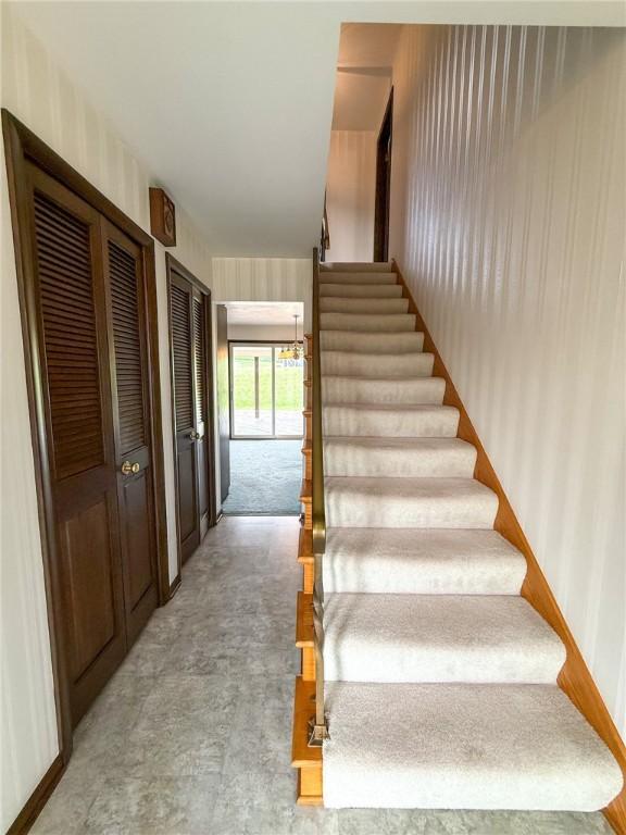 stairway with carpet flooring