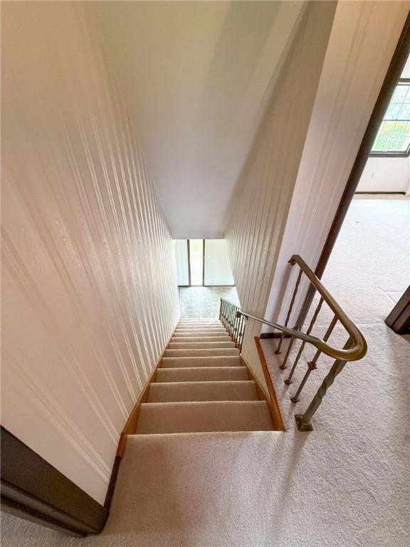 stairway featuring carpet floors