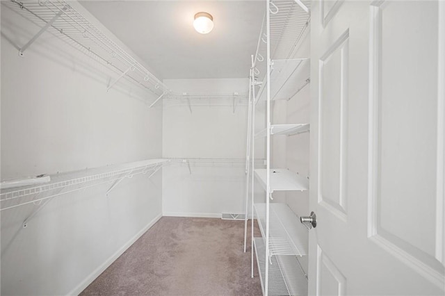 walk in closet featuring carpet floors