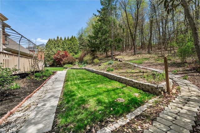 1641 Blackburn Heights Dr, Franklin Park, PA 15143 - view of yard