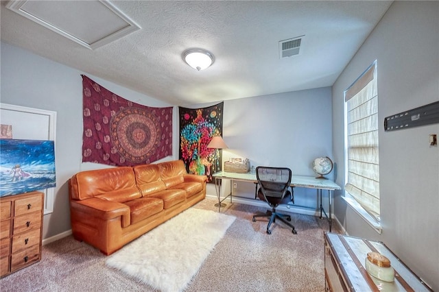 2008 Connecticut Ln, Franklin Park, PA 15143 - home office with carpet floors, baseboards, a textured ceiling, and attic access